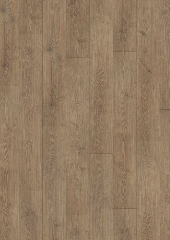 Dub Northland Hnedý