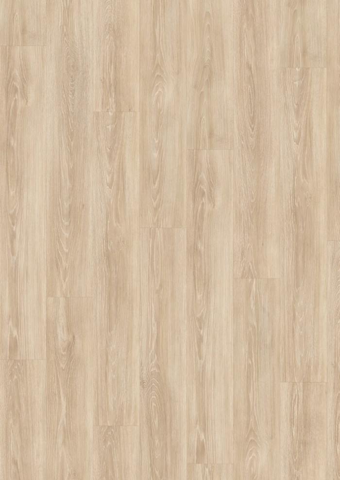 Dub Capri krémový Dub Capri krémový