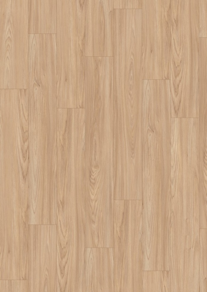 Akácia Sheffield prírodná