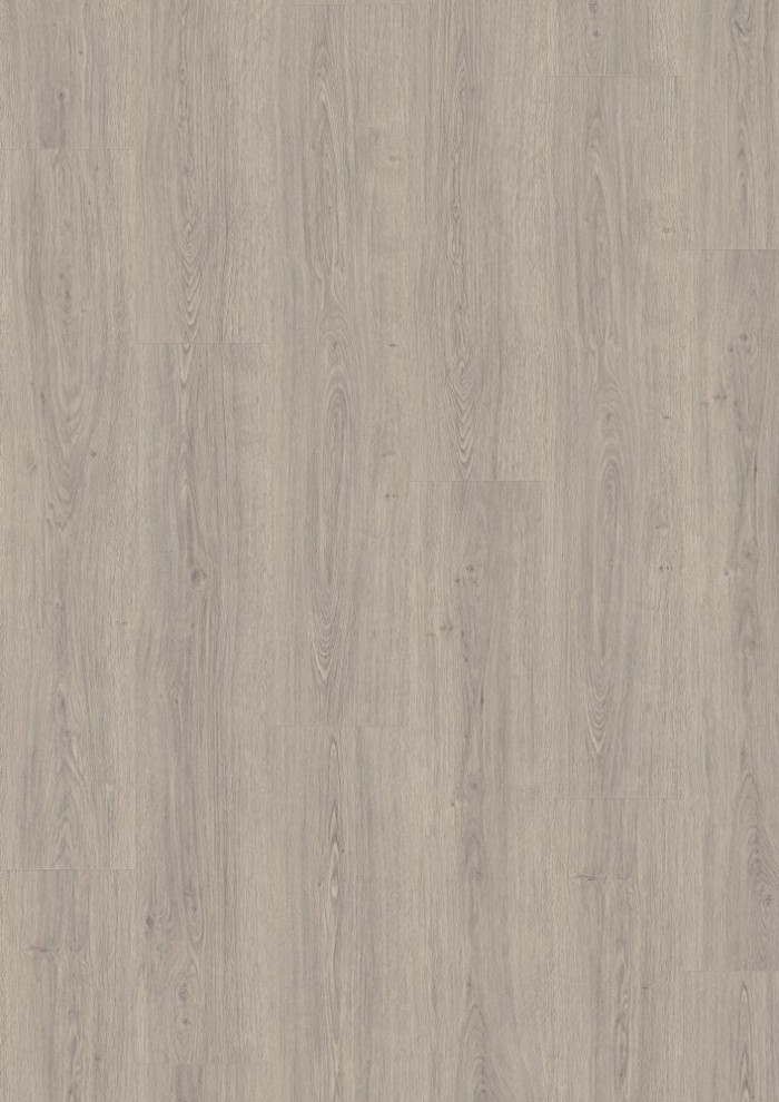 Dub Victoria svetlosivý