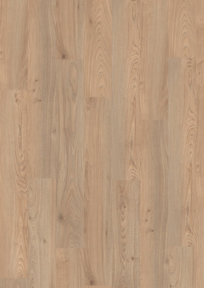 Dub Conway prírodný