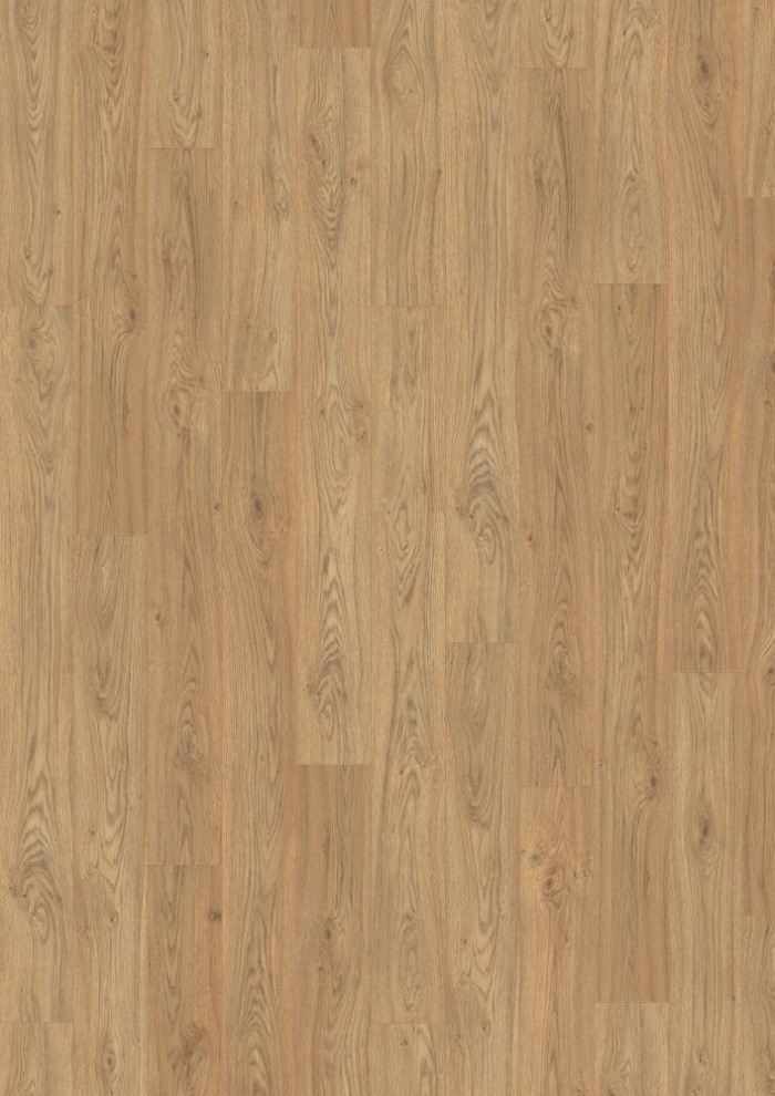 Dub Starwell prírodný