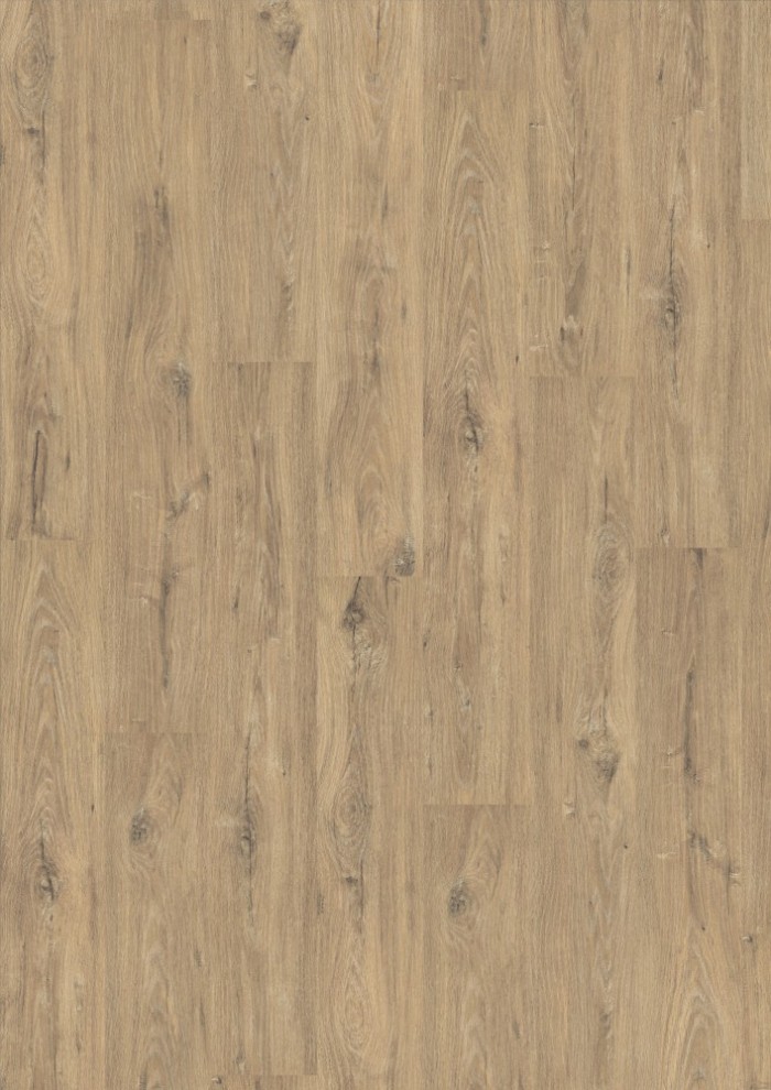 Dub La Mancha Dub La Mancha