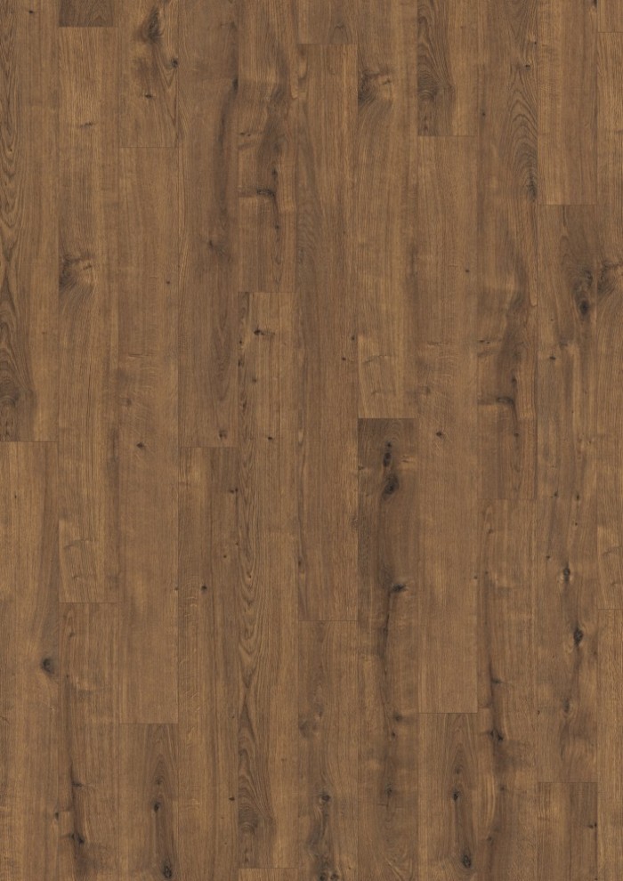 Dub Dunnington tmavý