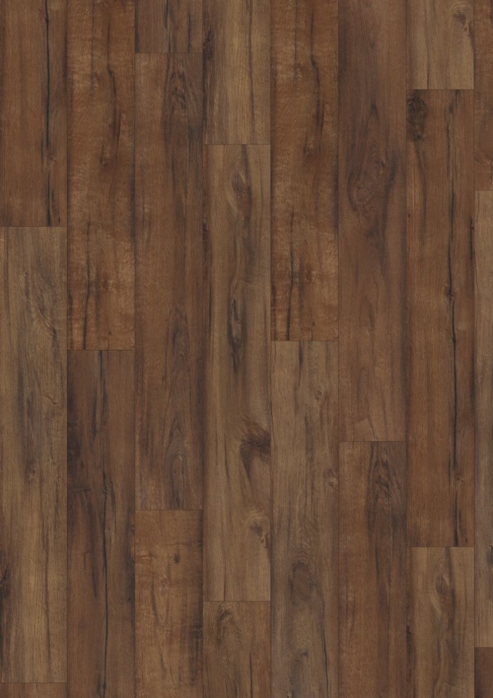 Dub Brynford hnedý Dub Brynford hnedý