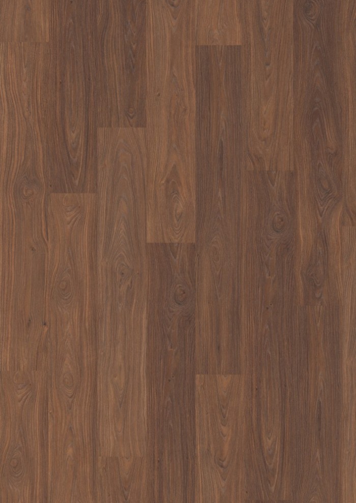 Orech La Paz Orech La Paz