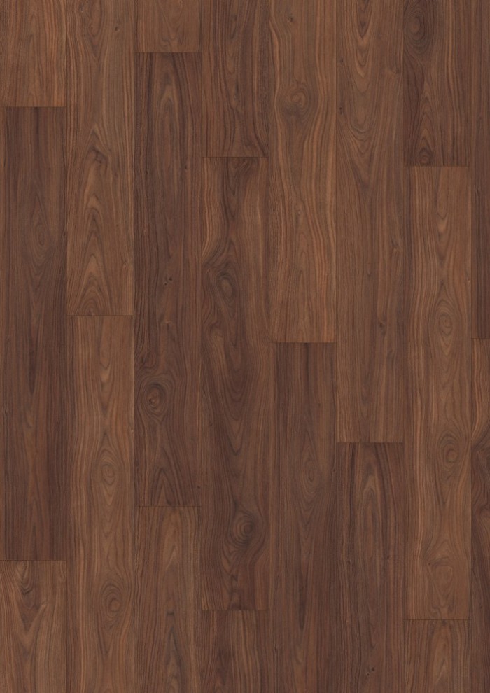 Orech La Paz Orech La Paz