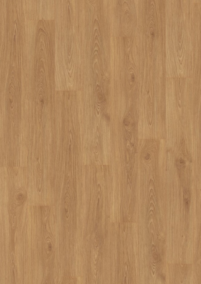 Dub Shannon medový Dub Shannon medový