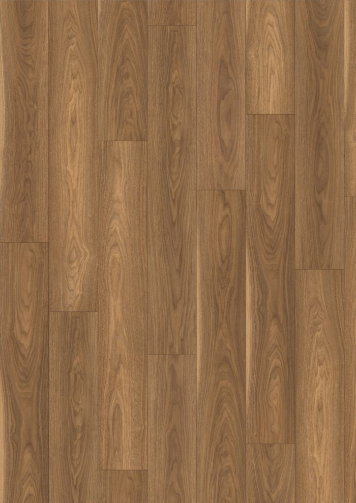 Orech Mansonia Orech Mansonia