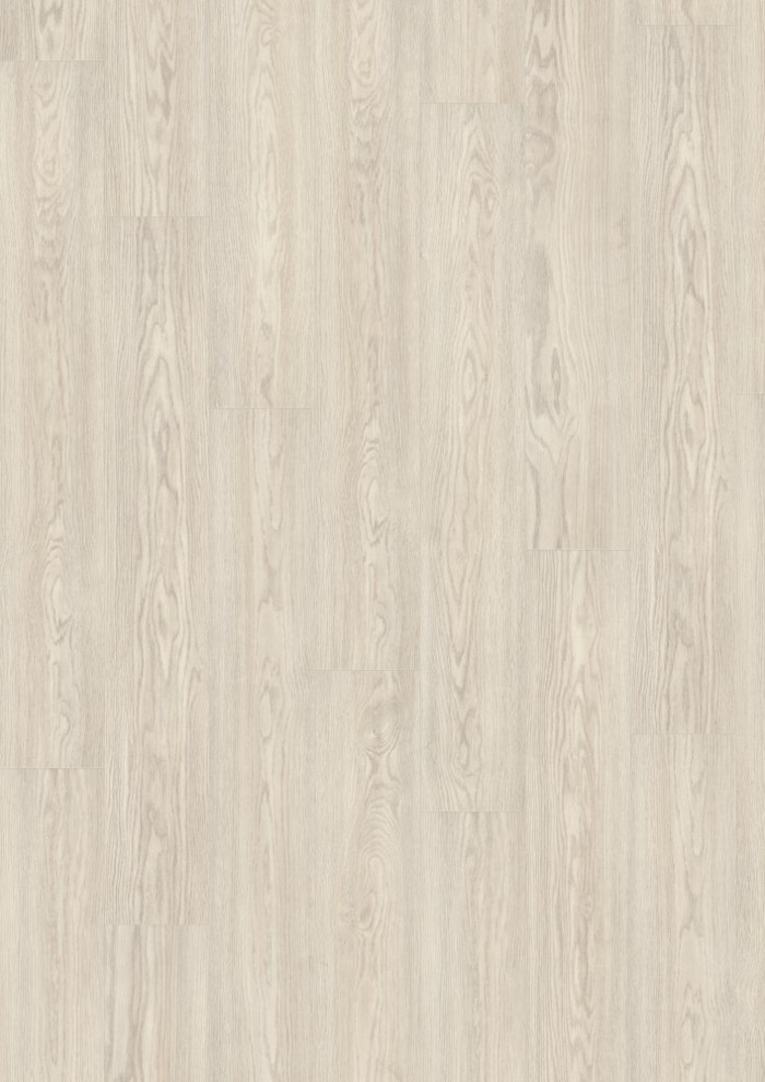 Dub Soria biely Dub Soria biely