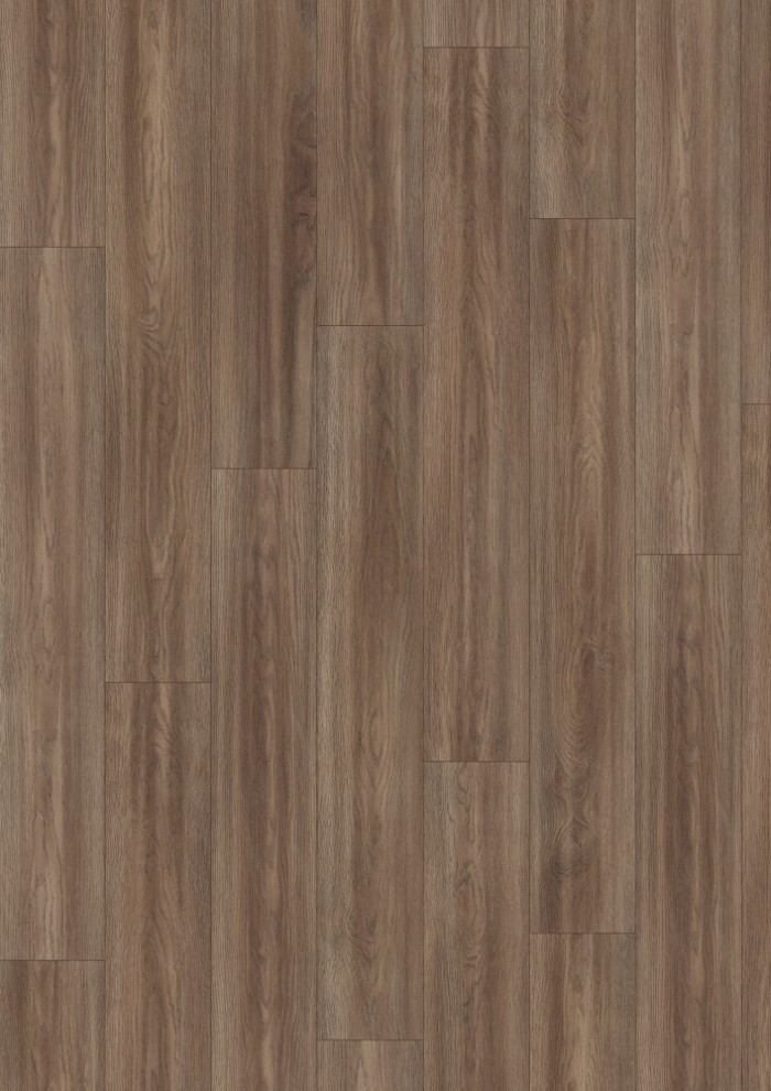 Dub Soria hnedý Dub Soria hnedý