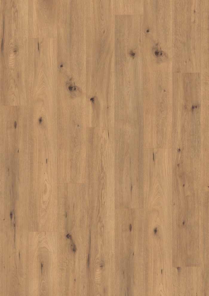 Dub divoký prírodný Dub divoký prírodný