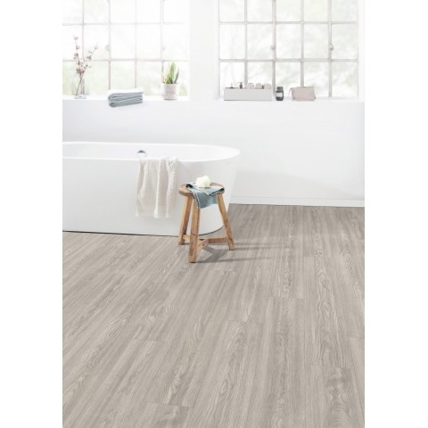 Dub Soria svetlosivý