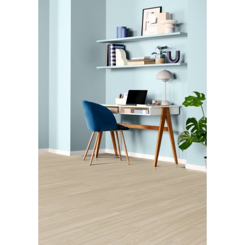 Akácia Sheffield svetlá