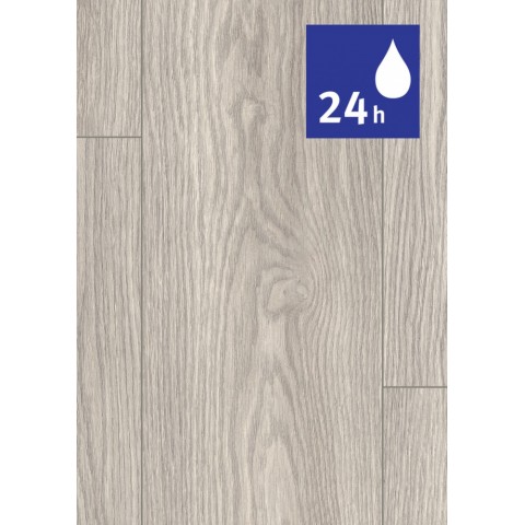 Dub Soria svetlosivý