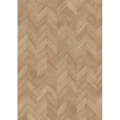 Dub Vidora prírodný