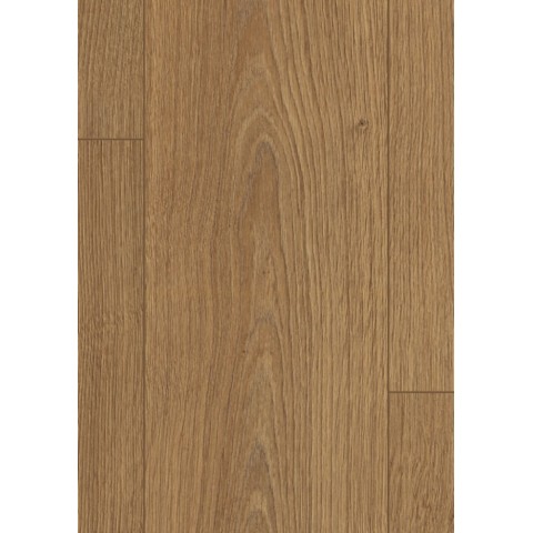 Dub Northland Hnedý